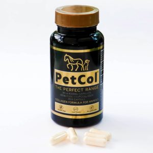 PetCol Collagen