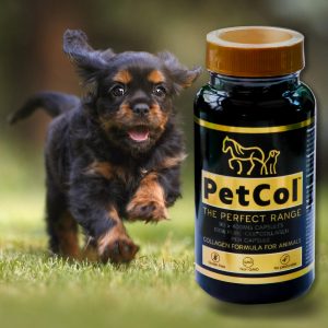 PetCol Collagen
