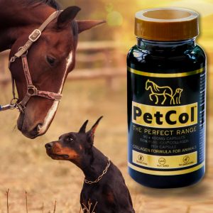 PetCol Collagen