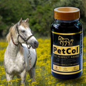 PetCol Collagen
